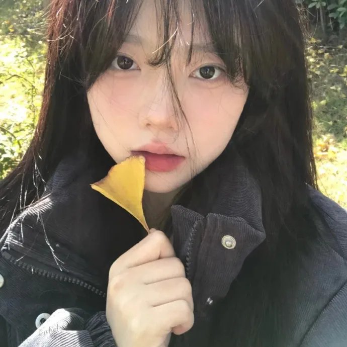 花木兰2